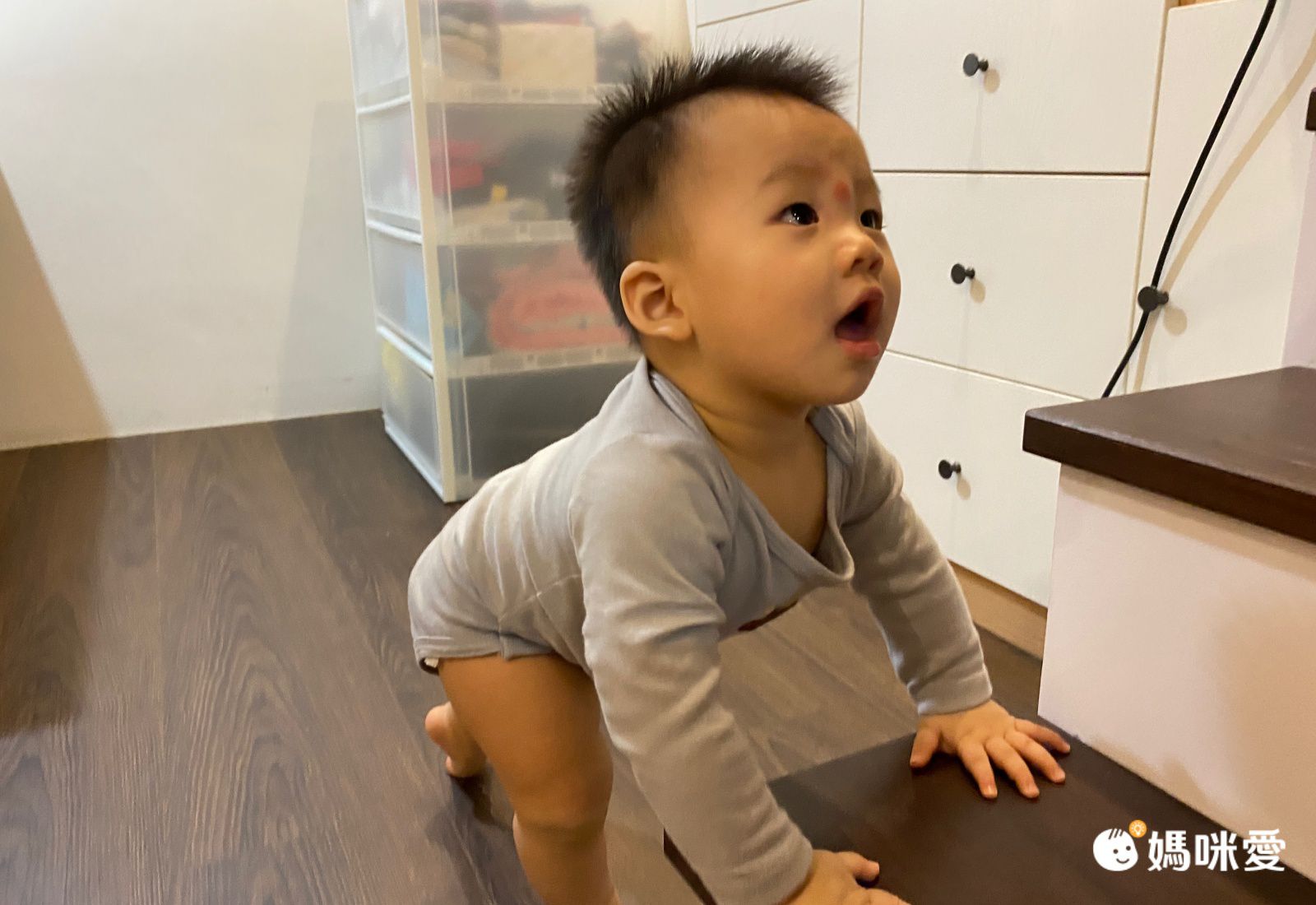 美國 Luvable Friends - 甜蜜寶貝嬰幼兒短袖包屁衣5件組-玫瑰花蝴蝶