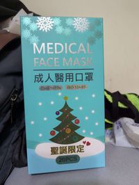 善存科技 - 成人醫療級平面口罩-聖誕限定-20入/盒(未滅菌)