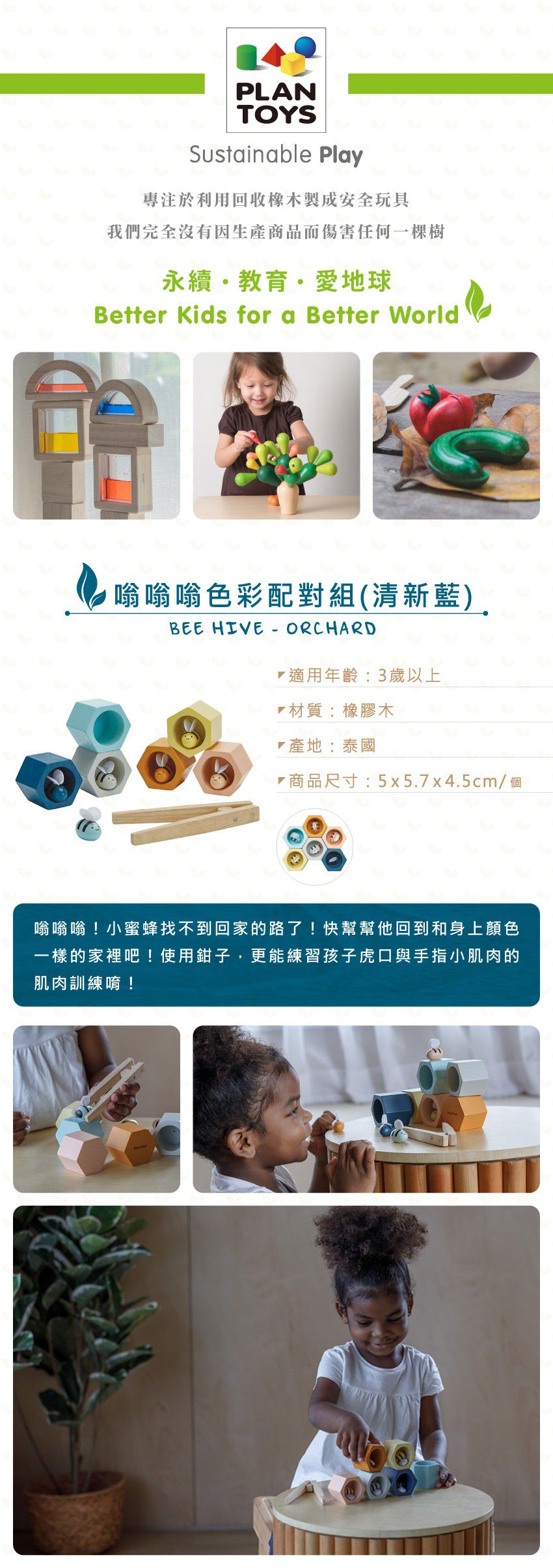 泰國 Plantoys - 嗡嗡嗡色彩配對組(清新藍)