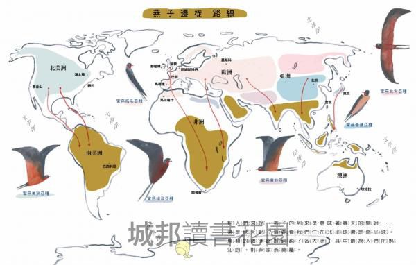 燕子遷徙日記：一段飛越地球的旅程