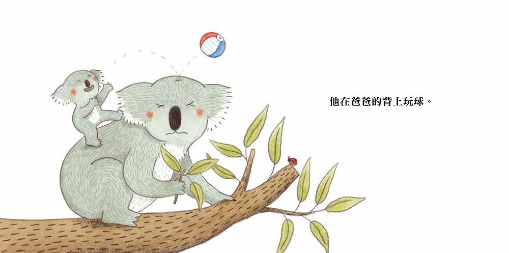 《誰的襪子》超有趣的找找書！訓練孩子專注力＆觀察力