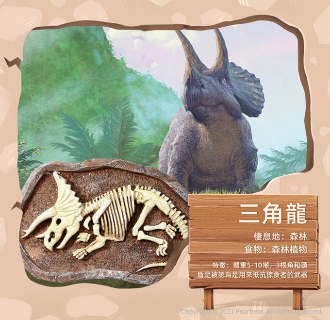 MiDeer - 考古挖掘套組-雷龍