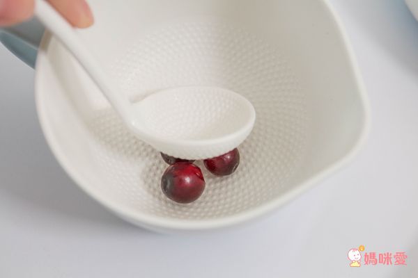 Richell TLI 研磨用小碗