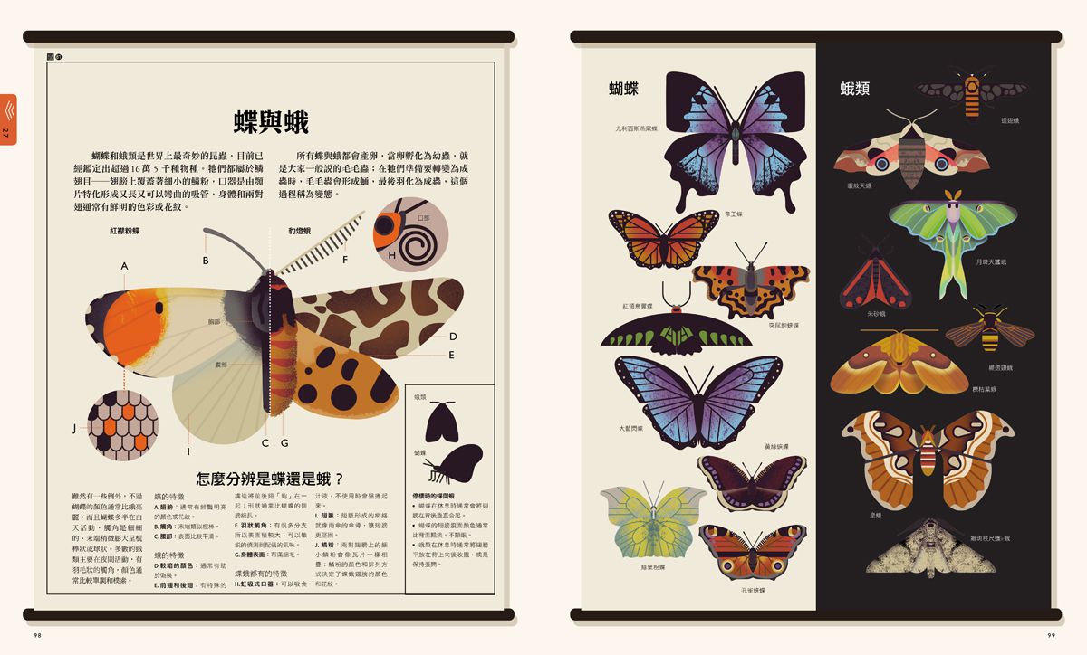 自然大視界：不可思議的生態奧祕圖鑑