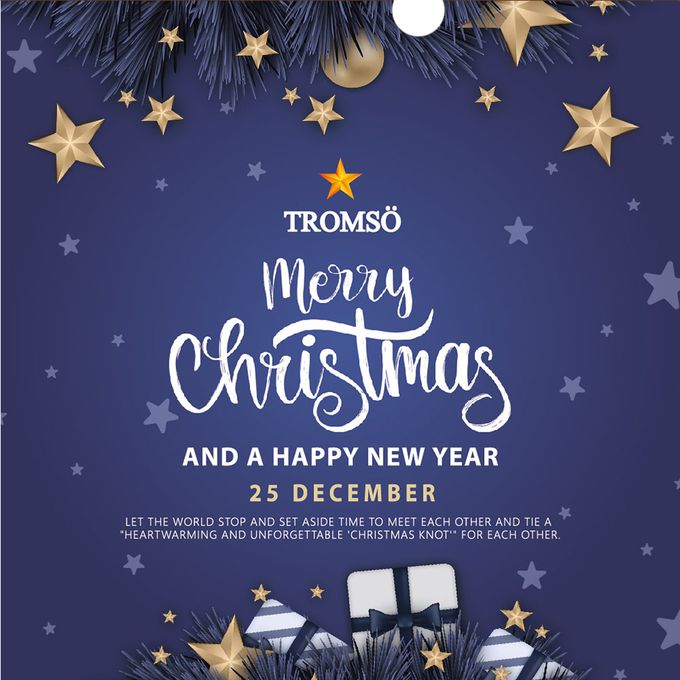 TROMSO - 豪華松針下雪聖誕樹-百老匯紅金 (150cm)