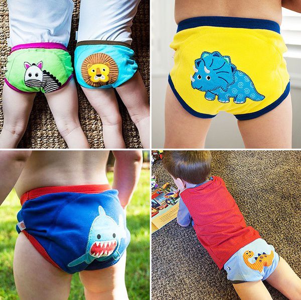 100% 棉 ❤ 美國 ZOOCCHiNi 學習褲Ｘ內褲