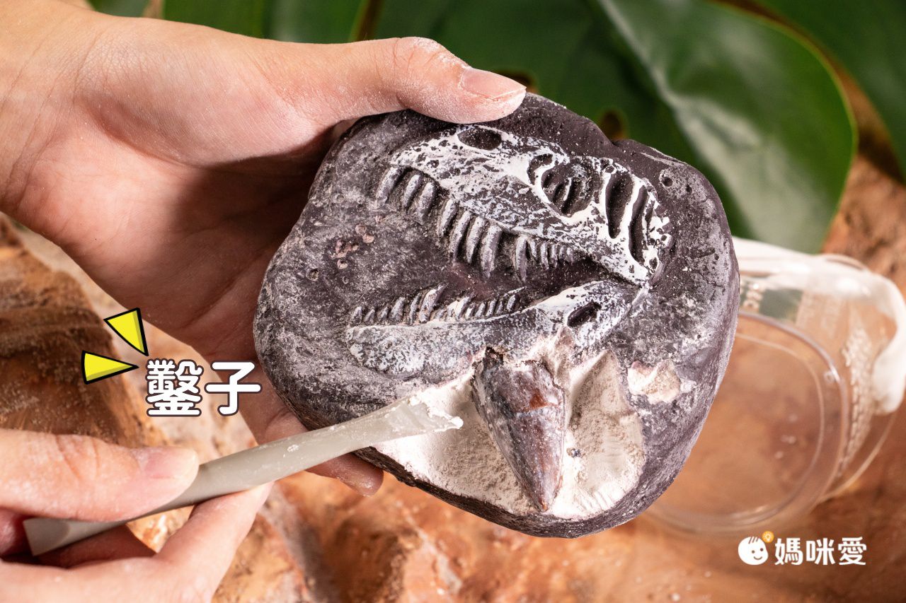 NATIONAL GEOGRAPHIC - 國家地理頻道 恐龍化石挖掘套組