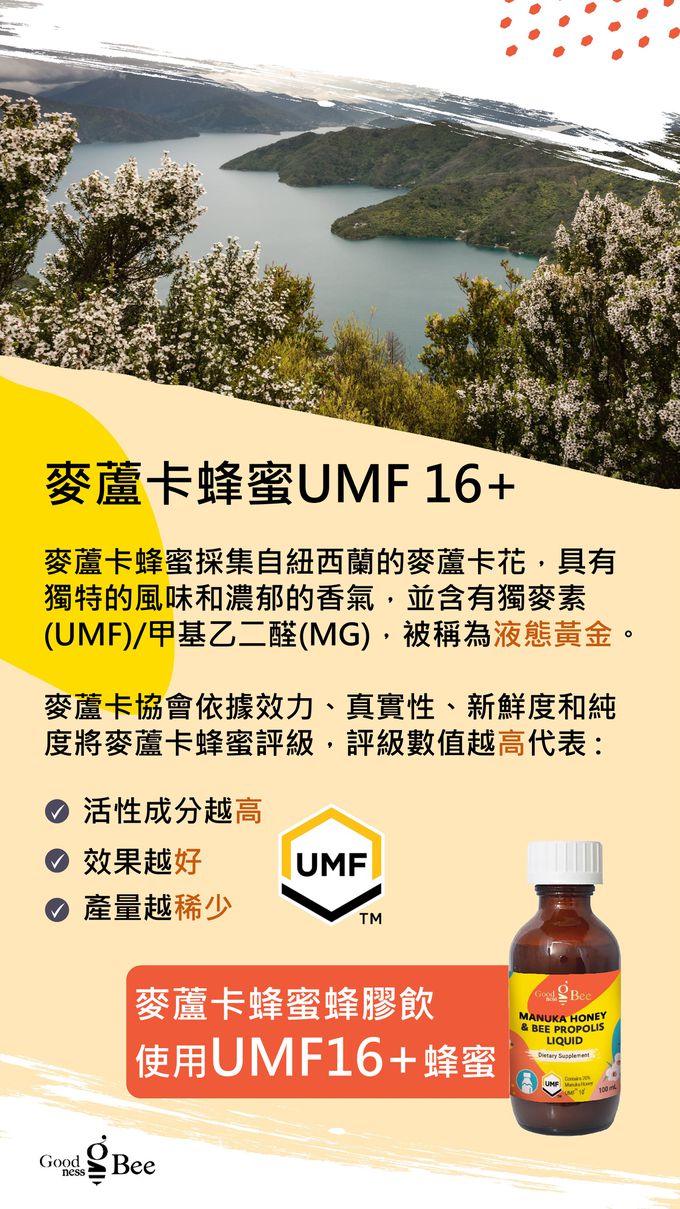 紐西蘭 Goodness bee - 麥蘆卡蜂蜜蜂膠飲-100ml /瓶