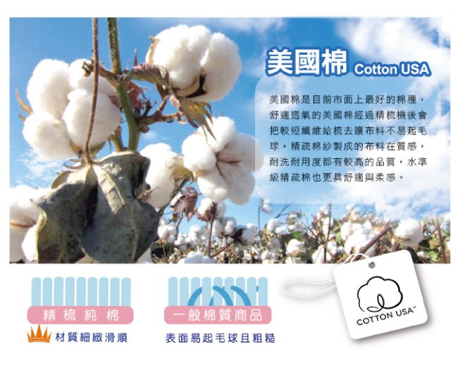 鴻宇 HongYew - 雙人床包枕套組 防蹣抗菌100%美國棉-旅行家-藍