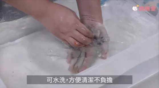 澳洲9成學校指定【Educational Colours】美術用具