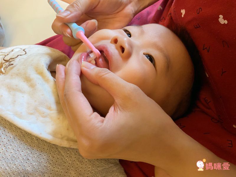 牙科大學共同研發【日本 Richell】 五階段乳齒訓練牙刷