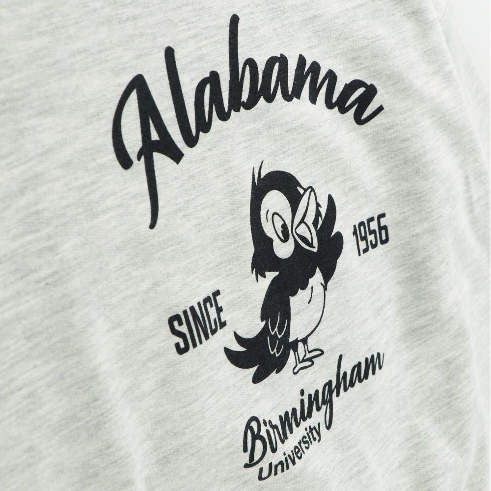 百搭落肩縮口長袖上衣-小鳥-淺灰