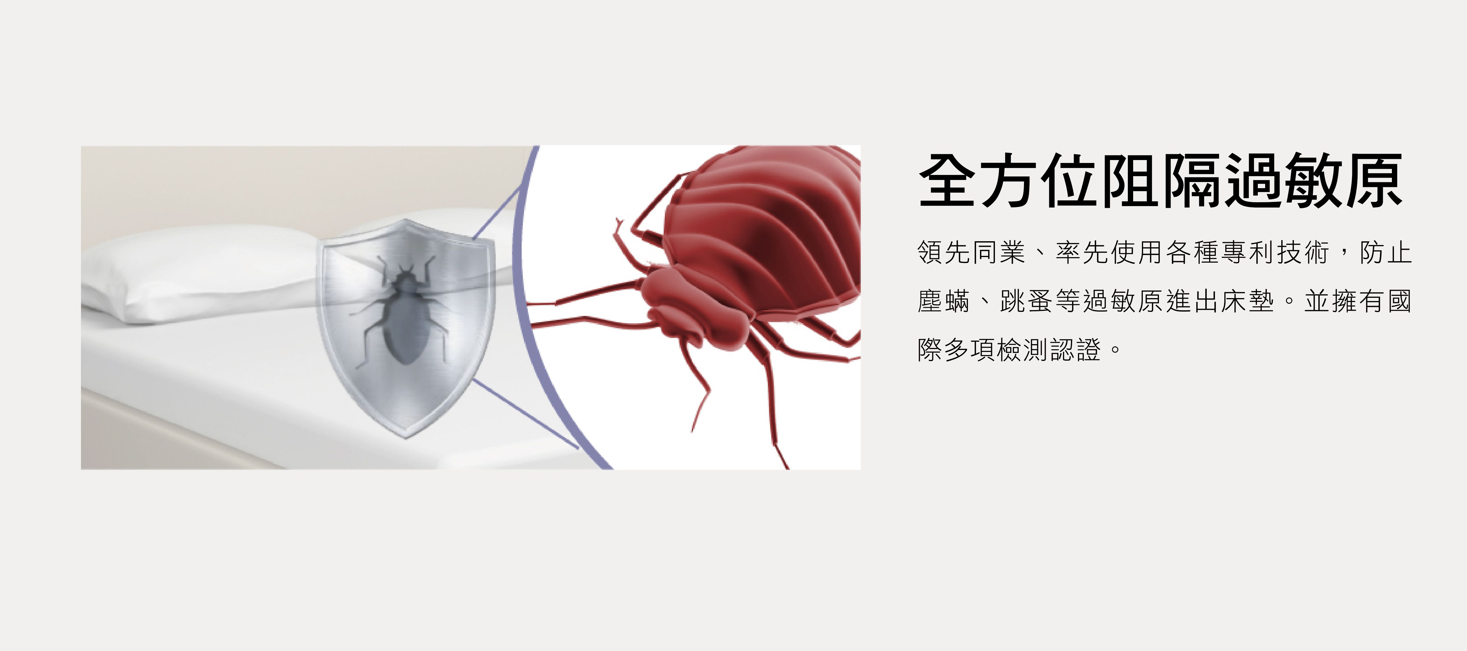 美國寢之堡 - 極細纖維全密封床墊套/全包式保潔墊-特大/ 30床高 (全密封拉鍊式床墊套6x7尺)-182x210x30cm