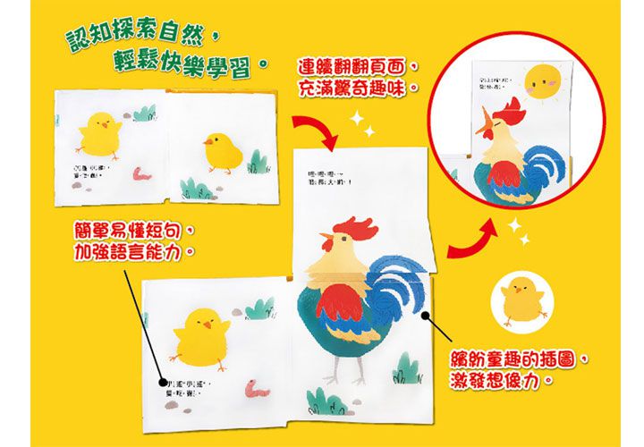 我是這樣長大的-4本合購：蝌蚪游啊游+小雞跑啊跑+螞蟻爬啊爬+毛毛蟲變啊變