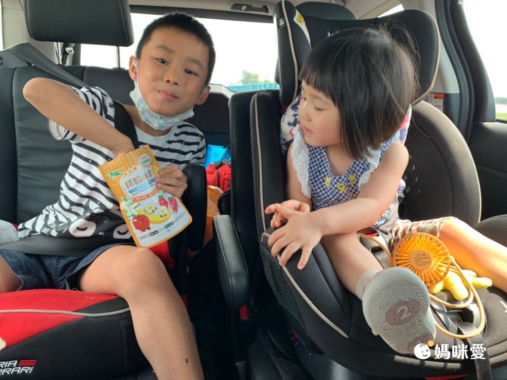 最健康的幼兒零嘴【義美生機】冷凍真空乾燥果乾、黑豆茶