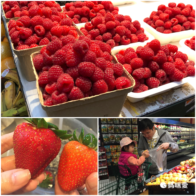 加拿大排隊名店！日式雙層冰心乳酪蛋糕 Love Me Sweet