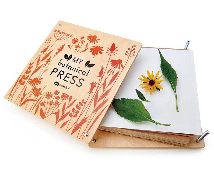 美國 Tender Leaf - 木製四季壓花本