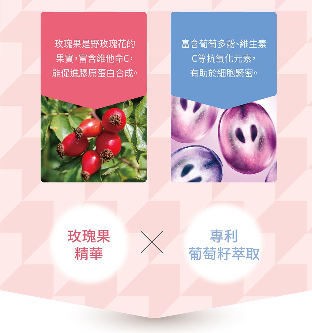 婦潔 VIGILL - 蔓越莓私密益生菌日夜雙護-(20粒+20粒)/盒 (單入)-(20粒+20粒)/盒