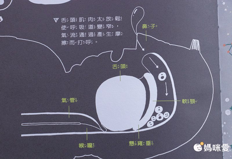 康軒文教事業 - 嘎嘎的光照書-2本一套