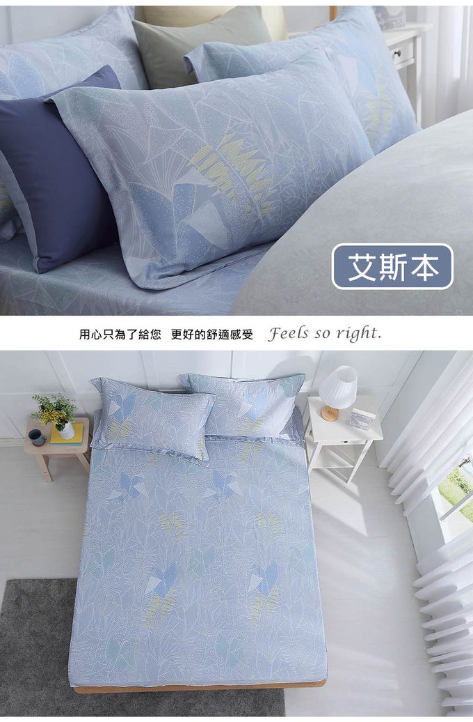 鴻宇 HongYew - 雙人加大床包枕套組 300織天絲-多款任選