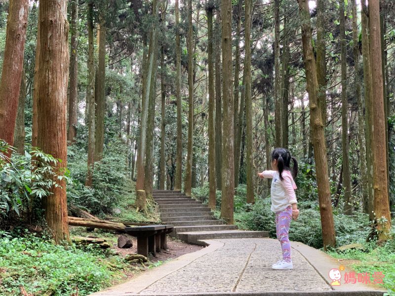 溪頭妖怪村主題飯店｜一年期履約住宿券
