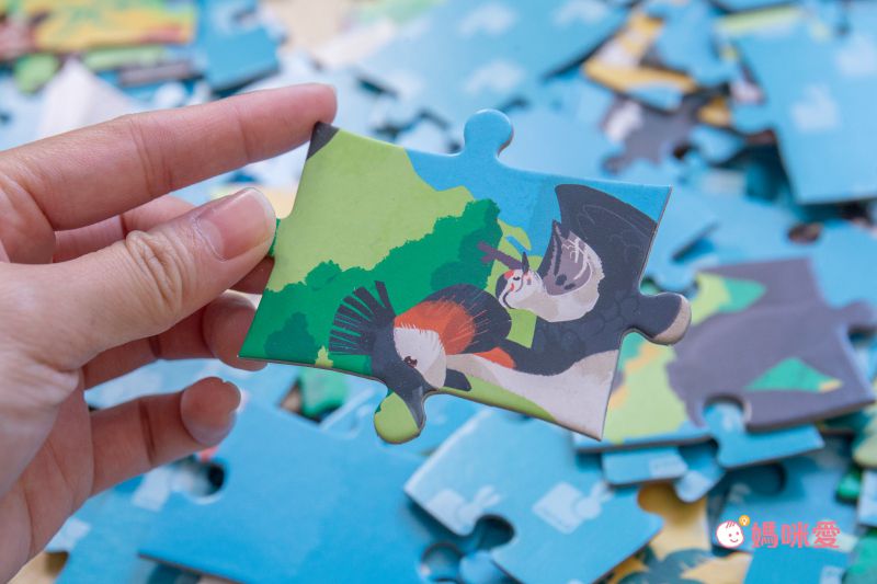 探索世界第一步【法國Janod】世界恐龍拼圖＆學習桌遊