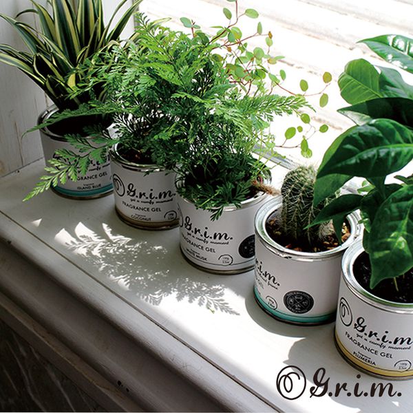 日本 G.r.i.m. - 南國印象香氛膏-白麝香 (100g)