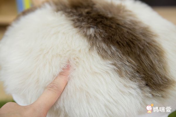 萌翻日本 ❤【 Putia 實木動物造型兒童椅 】