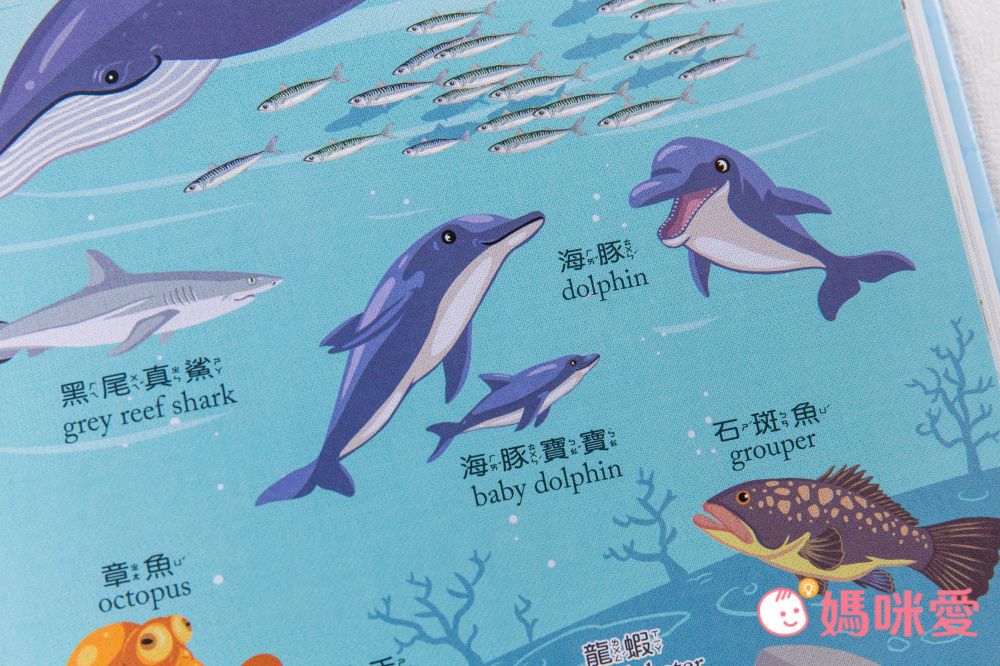 符合教育部國小規定【世一文化點讀筆系列】中英學習靠這套！