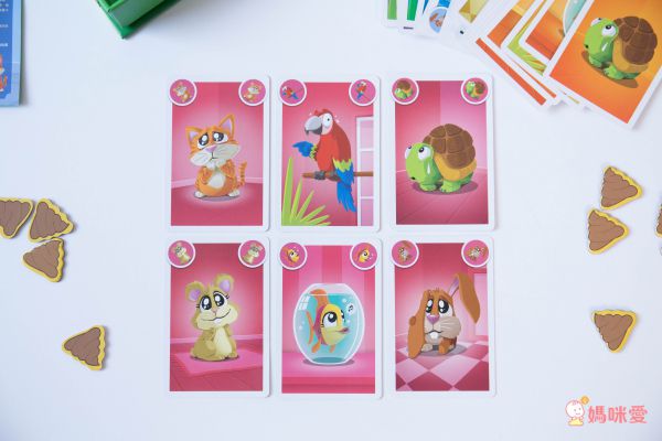 Miss Jill x Evan哥 專屬團購 ♕ 比利時SMART GAMES益智桌遊