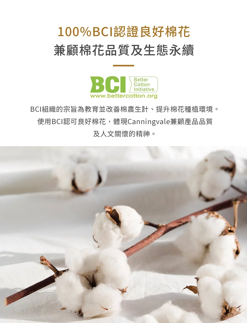 澳洲 Canningvale坎寧威爾 - 設計師系列－雙人四件式床組（靜謐花影）-雙人床包組