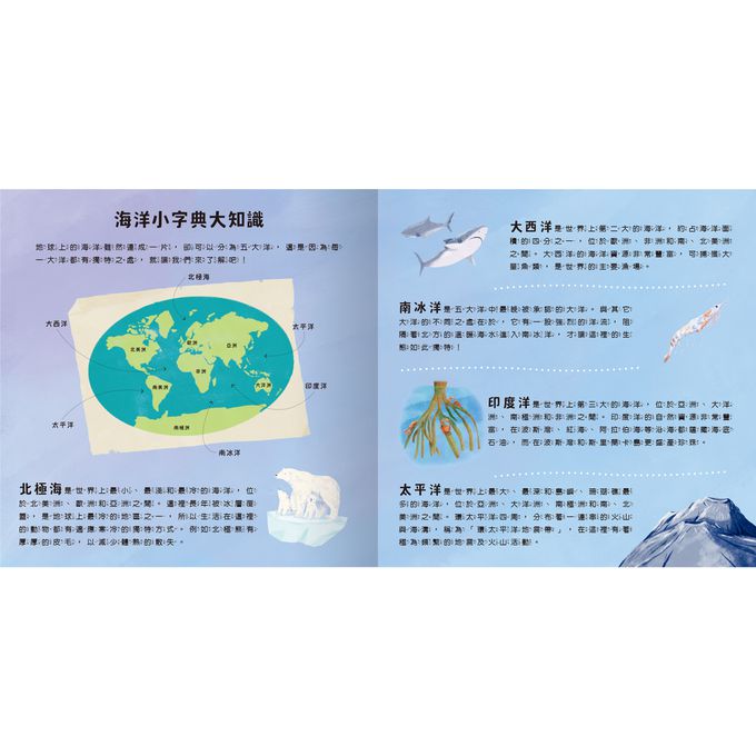 登登登！透光Show 海洋生物來囉！