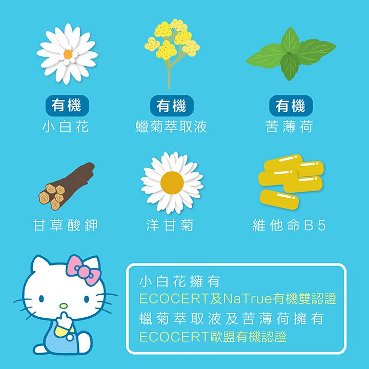 水清淨 Water Clean - 三合一泡泡慕斯-三麗鷗聯名款(baby清香-Hello Kitty)400ml*1+旅行組30ml*3