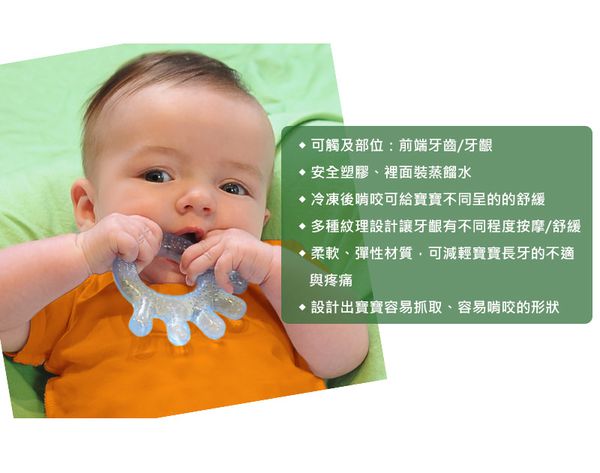 美國 green sprouts - 小綠芽冰鎮冷凍型按摩/舒緩疼痛固齒器-2入組-藍綠組