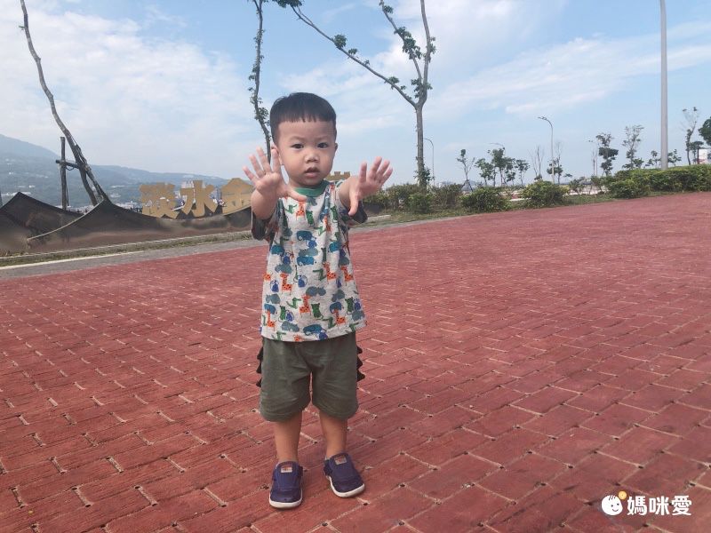 彩色車車純棉短袖上衣