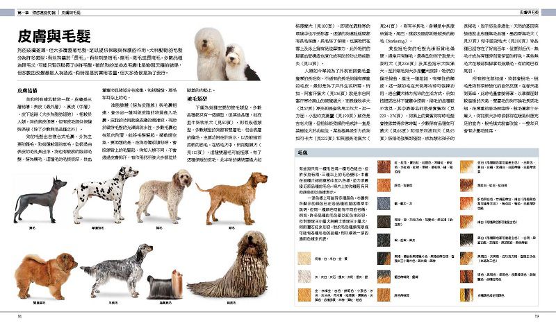 終極狗百科 (精裝 / 352頁/全彩印刷)