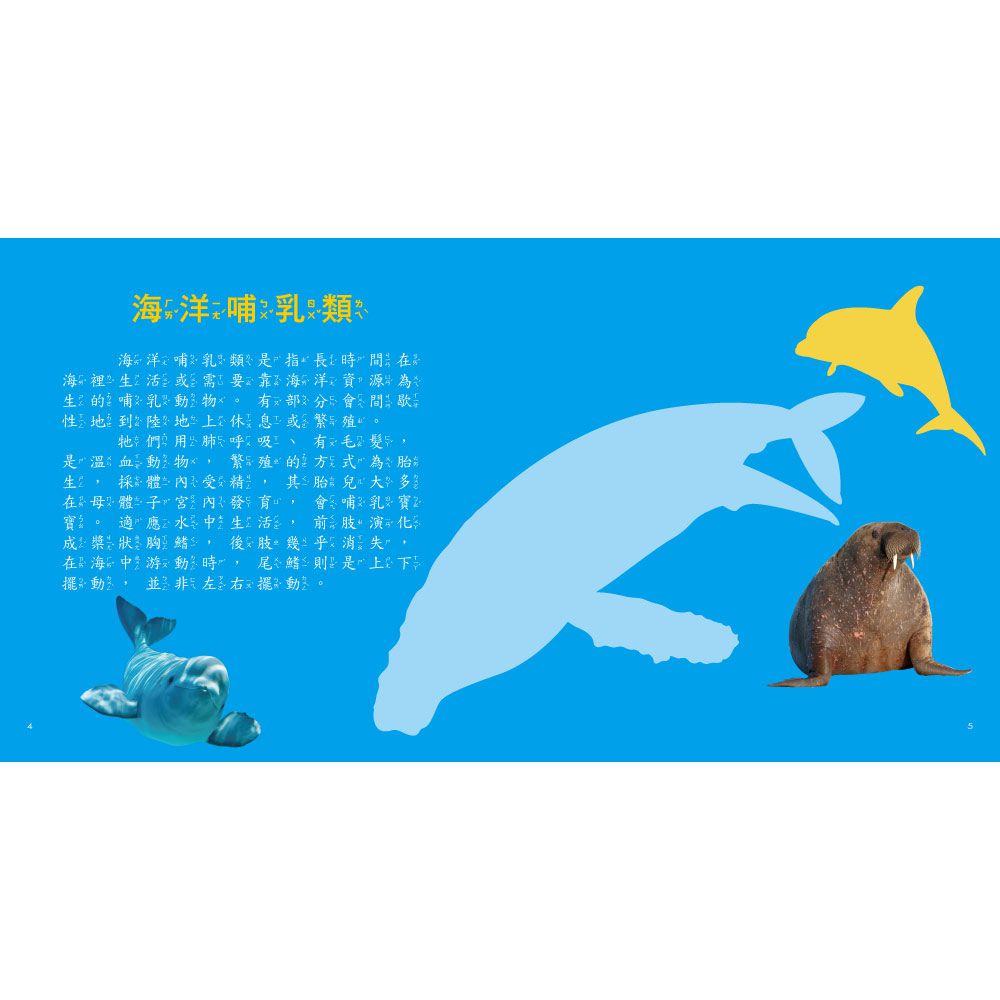 海洋圖鑑小百科