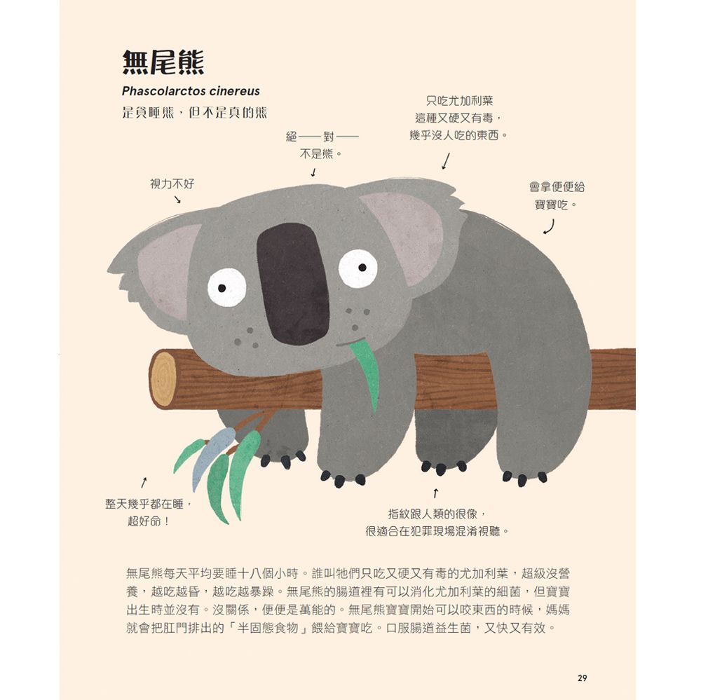 不可思議動物大集合-精裝