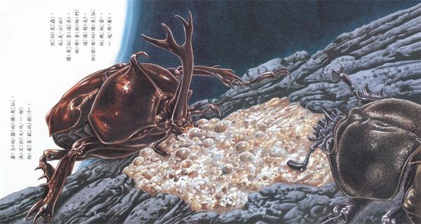 獨角仙在哪裡？