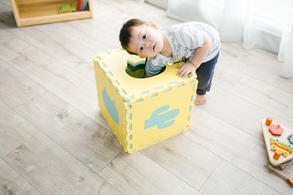 全團台灣製【Pato.Pato】動物巧拼地墊、圍欄