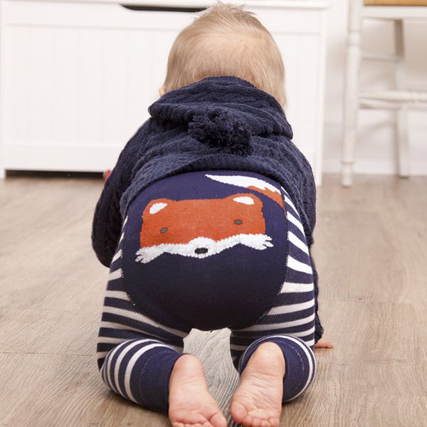 英國 JoJo Maman BeBe - 圖案嬰幼兒內搭褲/保暖襪-海軍藍狐狸