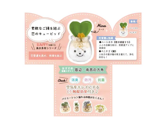 日本 KISHIMA - CT觸媒 開運消臭仿真多肉盆栽-貴人運-Mina (S(5x7.5x11cm))