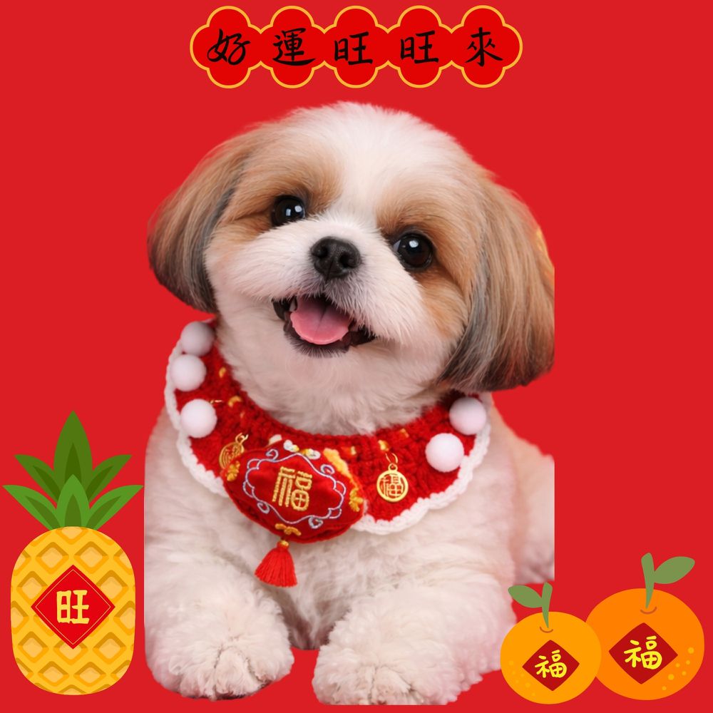 新年喜氣旺來福到寵物圍脖項圈-福氣滿滿 (脖圍(45cm內))