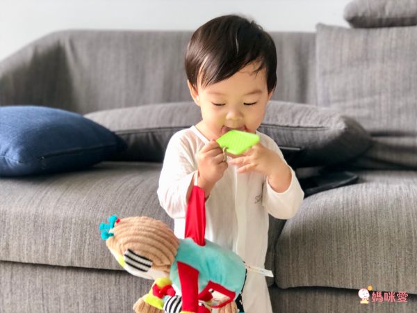 法國 Dolce Toys - 感統玩偶-超級保姆蒙奇