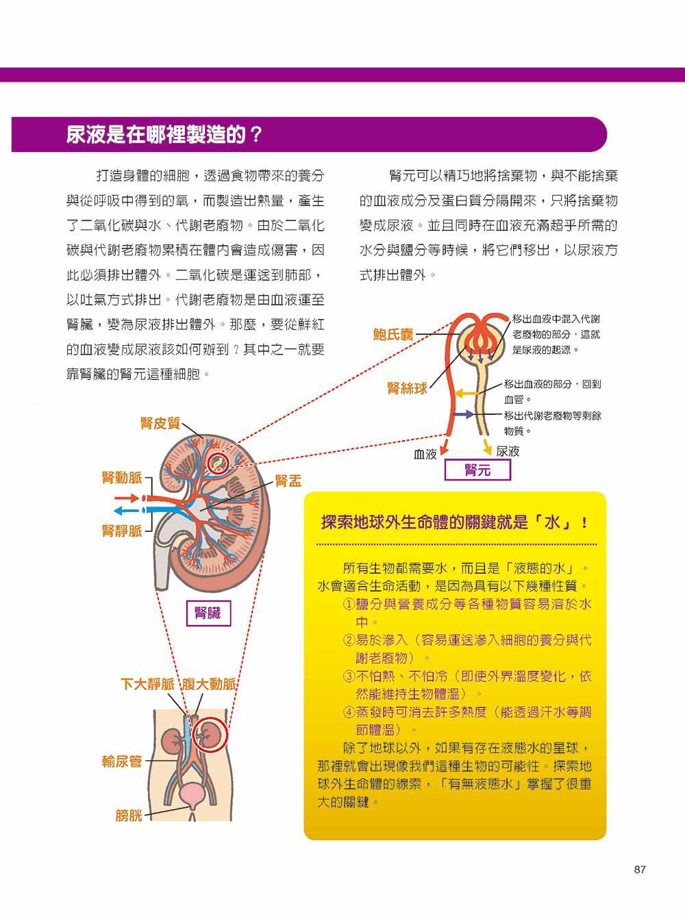 科學驚奇探索漫畫4-人體迷宮調查！血液冒險篇