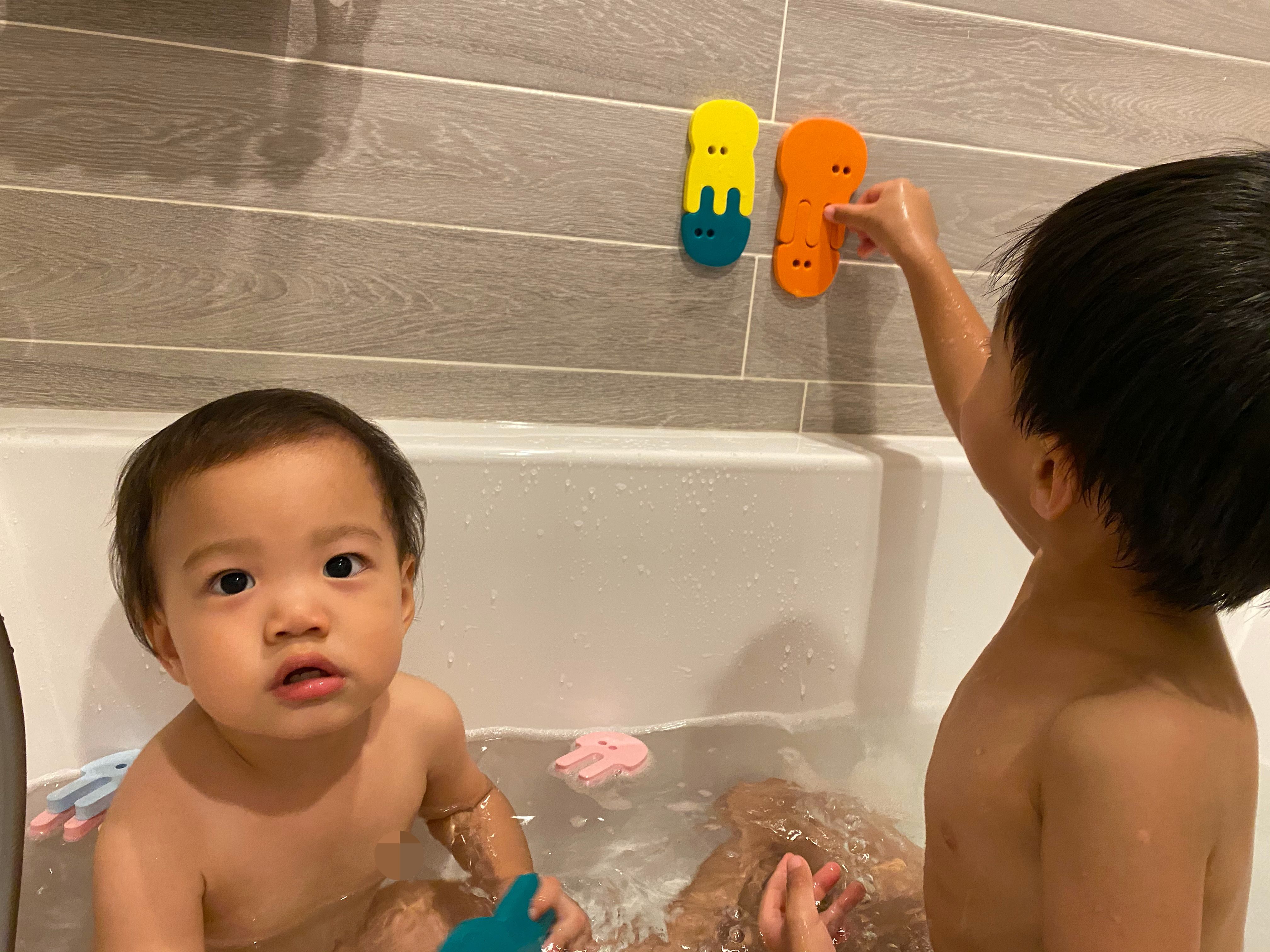 比利時 QUUT - 鯊魚拼貼