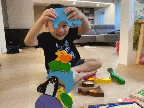 益智學習【英國 Le Toy Van、澳洲 Kiddie Connect】啟蒙教具