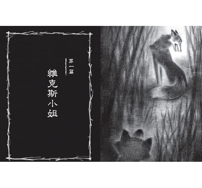 紐伯瑞文學獎精選套書：少年必讀成長小說1-平裝