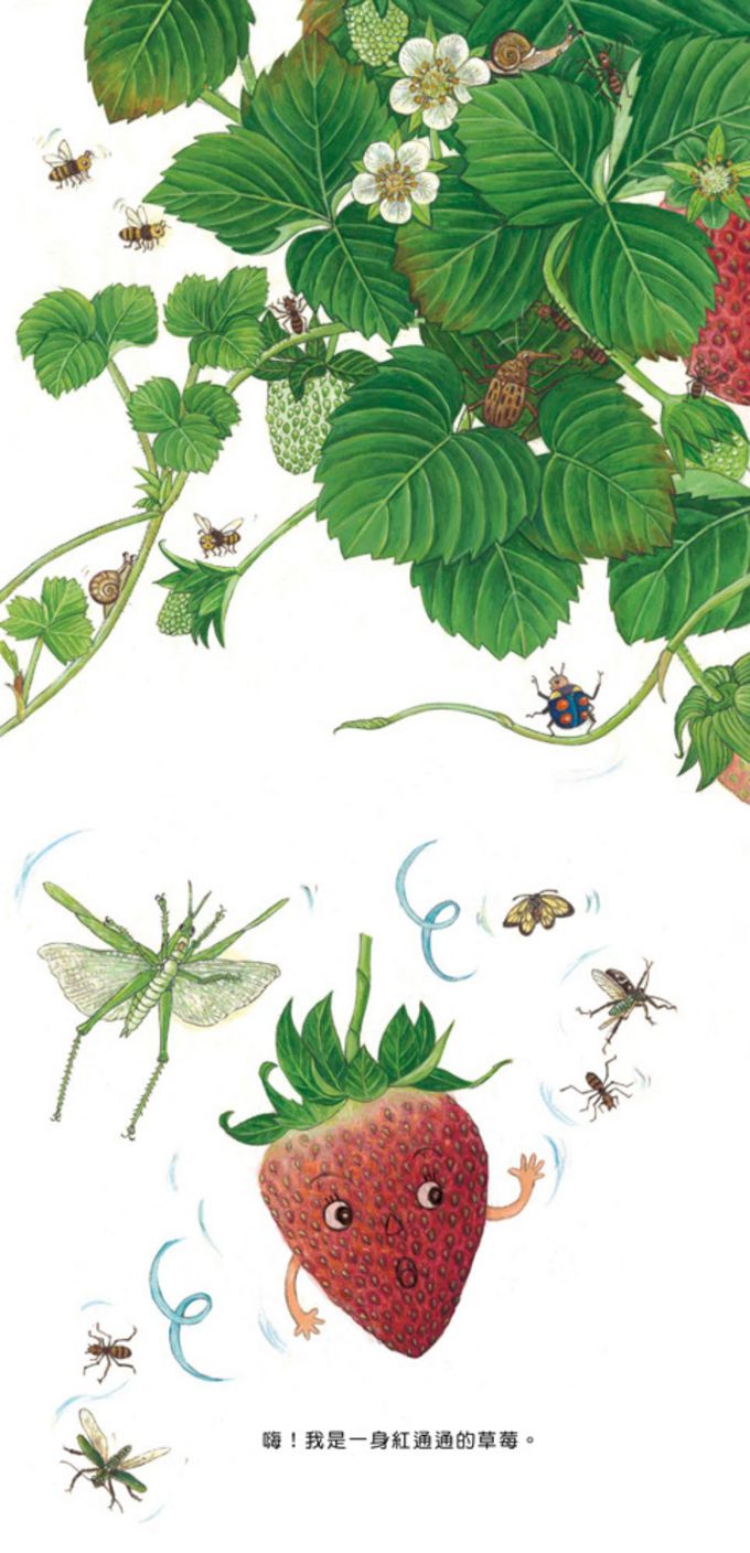 我的水果寶寶（二版）