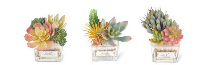 日本 KISHIMA - CT觸媒 消臭仿真多肉盆栽-方盆-KH-61181 (10x9x11cm)